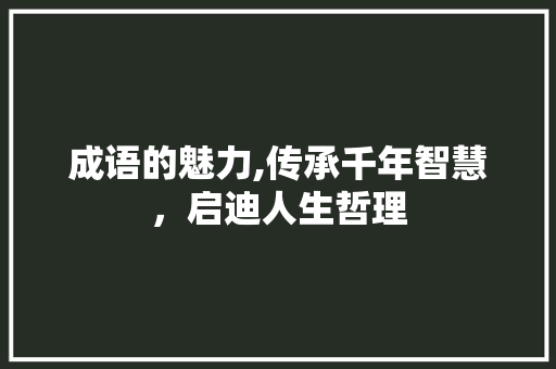 成语的魅力,传承千年智慧，启迪人生哲理
