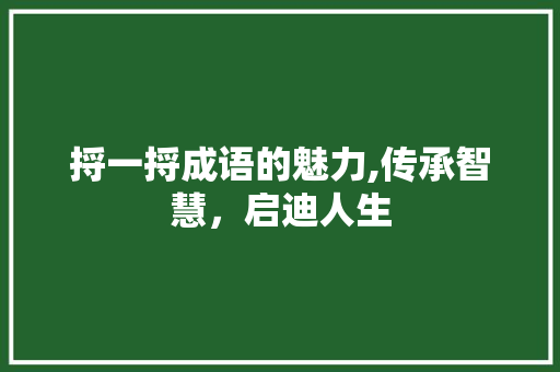 捋一捋成语的魅力,传承智慧，启迪人生