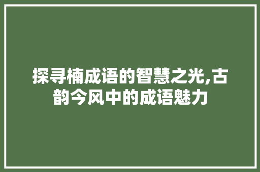 探寻楠成语的智慧之光,古韵今风中的成语魅力 项目报告