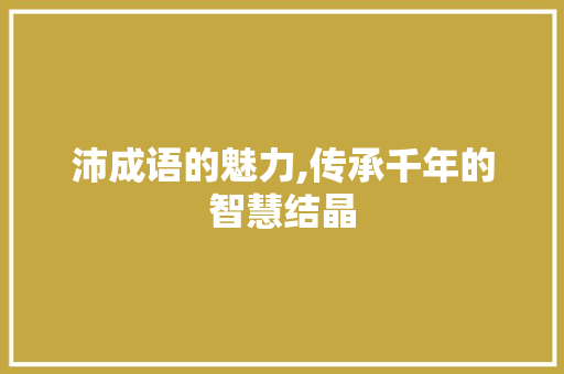 沛成语的魅力,传承千年的智慧结晶