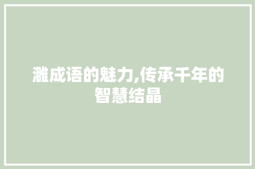 濉成语的魅力,传承千年的智慧结晶