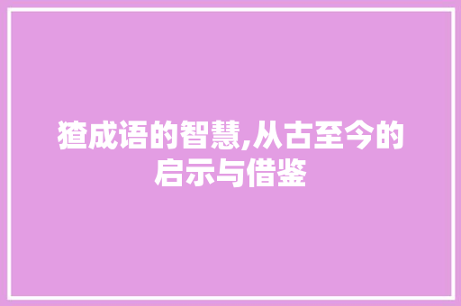 猹成语的智慧,从古至今的启示与借鉴