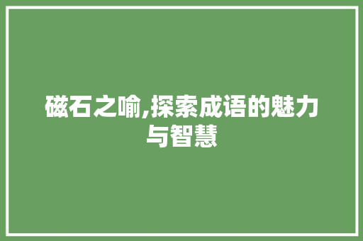 磁石之喻,探索成语的魅力与智慧