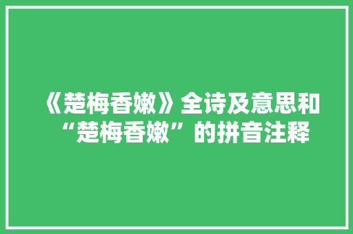 《楚梅香嫩》全诗及意思和“楚梅香嫩”的拼音注释 诗词鉴赏