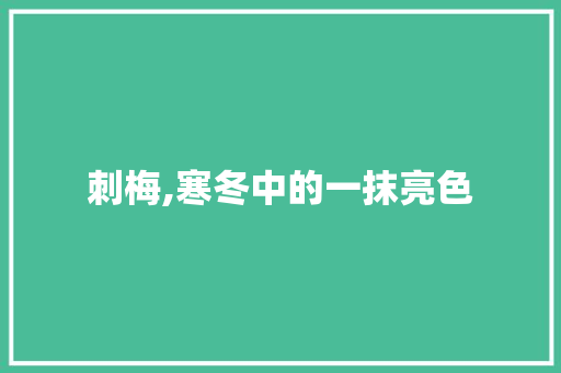 刺梅,寒冬中的一抹亮色 项目报告