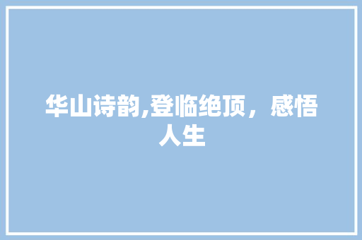华山诗韵,登临绝顶，感悟人生