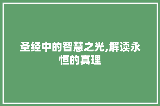 圣经中的智慧之光,解读永恒的真理