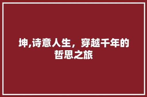 坤,诗意人生，穿越千年的哲思之旅
