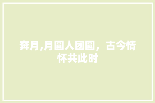 奔月,月圆人团圆，古今情怀共此时