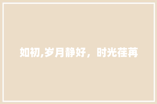 如初,岁月静好，时光荏苒