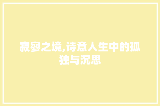 寂寥之境,诗意人生中的孤独与沉思