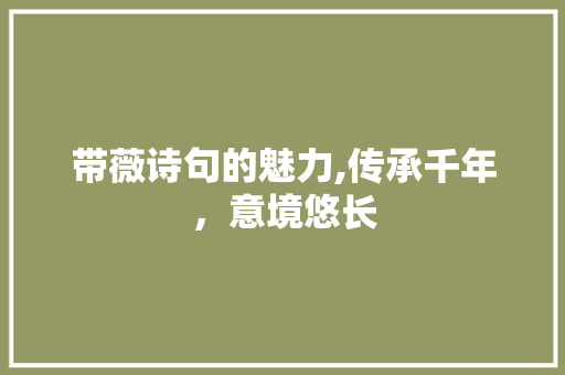 带薇诗句的魅力,传承千年，意境悠长