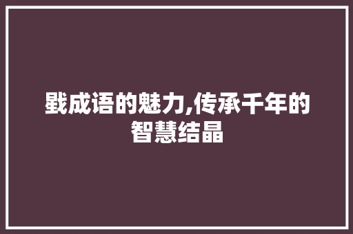 戥成语的魅力,传承千年的智慧结晶