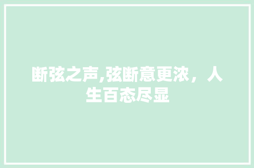 断弦之声,弦断意更浓，人生百态尽显