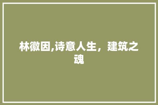 林徽因,诗意人生，建筑之魂
