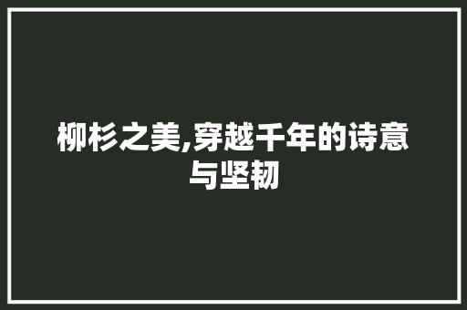 柳杉之美,穿越千年的诗意与坚韧 工作总结