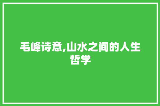 毛峰诗意,山水之间的人生哲学