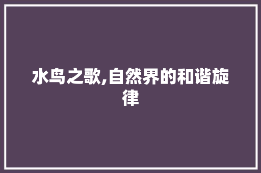 水鸟之歌,自然界的和谐旋律