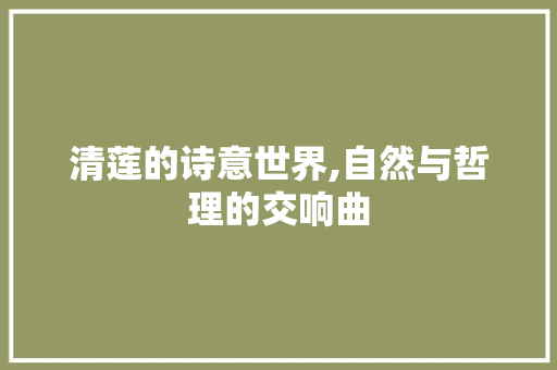 清莲的诗意世界,自然与哲理的交响曲