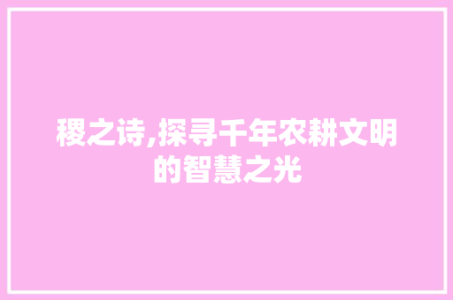 稷之诗,探寻千年农耕文明的智慧之光