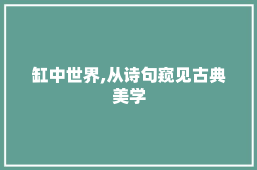 缸中世界,从诗句窥见古典美学