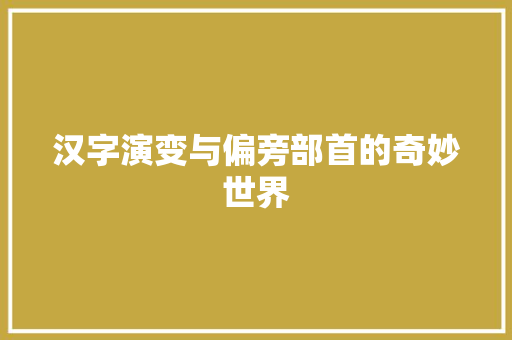 汉字演变与偏旁部首的奇妙世界