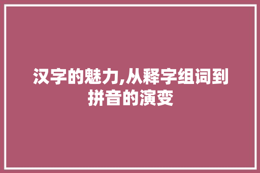 汉字的魅力,从释字组词到拼音的演变
