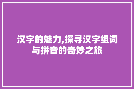 汉字的魅力,探寻汉字组词与拼音的奇妙之旅