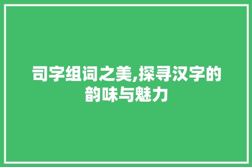 司字组词之美,探寻汉字的韵味与魅力