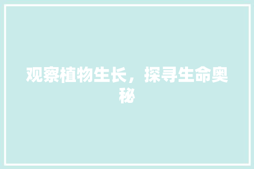 观察植物生长，探寻生命奥秘