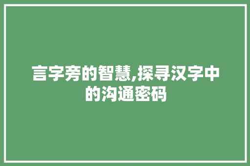 言字旁的智慧,探寻汉字中的沟通密码