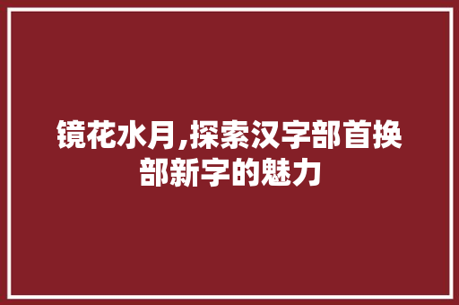镜花水月,探索汉字部首换部新字的魅力
