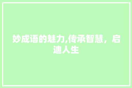 妙成语的魅力,传承智慧，启迪人生 应用文