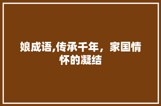 娘成语,传承千年，家国情怀的凝结