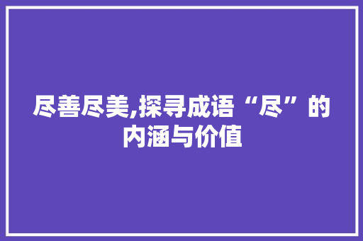 尽善尽美,探寻成语“尽”的内涵与价值
