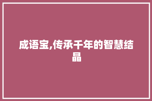 成语宝,传承千年的智慧结晶