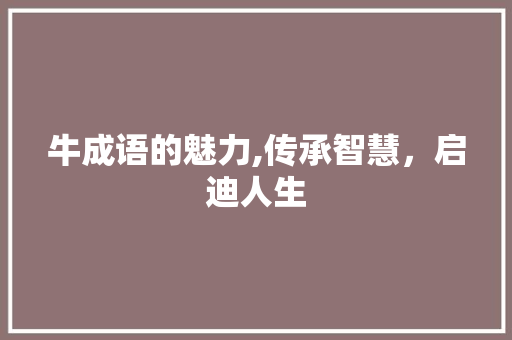 牛成语的魅力,传承智慧，启迪人生