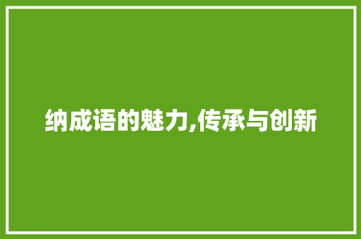 纳成语的魅力,传承与创新