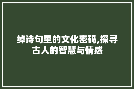 绰诗句里的文化密码,探寻古人的智慧与情感