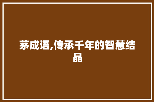 茅成语,传承千年的智慧结晶