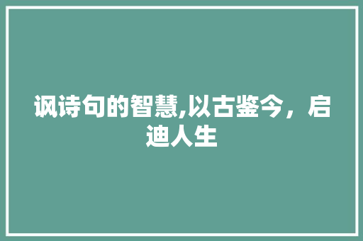 讽诗句的智慧,以古鉴今，启迪人生