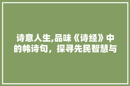 诗意人生,品味《诗经》中的帏诗句，探寻先民智慧与情感