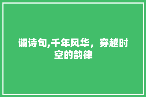谰诗句,千年风华，穿越时空的韵律