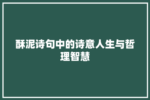 酥泥诗句中的诗意人生与哲理智慧