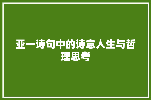 亚一诗句中的诗意人生与哲理思考 会议纪要