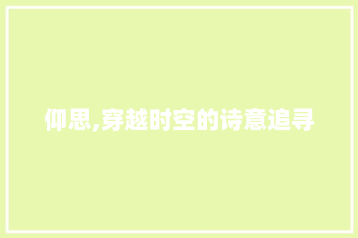 仰思,穿越时空的诗意追寻