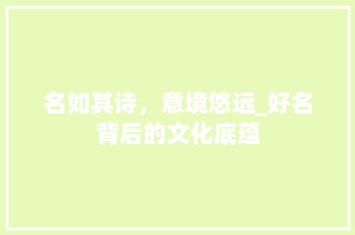名如其诗，意境悠远_好名背后的文化底蕴 项目报告