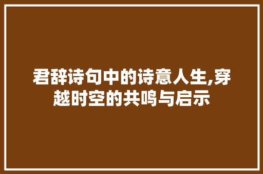 君辞诗句中的诗意人生,穿越时空的共鸣与启示 应用文