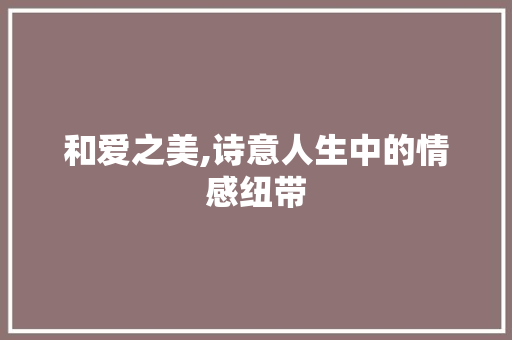 和爱之美,诗意人生中的情感纽带 工作总结