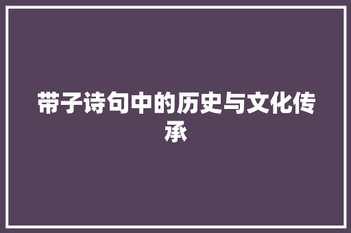 带子诗句中的历史与文化传承 诗词鉴赏
